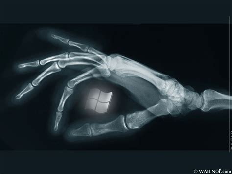 hands, Digital, Art, X ray, Microsoft, Windows, Bones Wallpapers HD / Desktop and Mobile Backgrounds