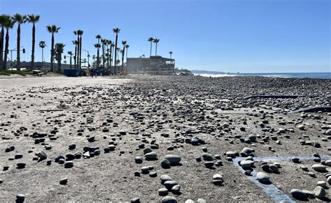 Cardiff State Beach parking lot closed by storm damage | KPBS Public Media