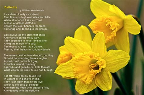 Daffodils | Daffodils - a poem by William Wordsworth | Delos Johnson | Flickr
