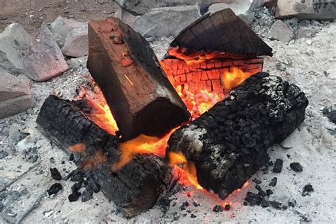 How to Choose Wood for Campfires | Snowys Blog