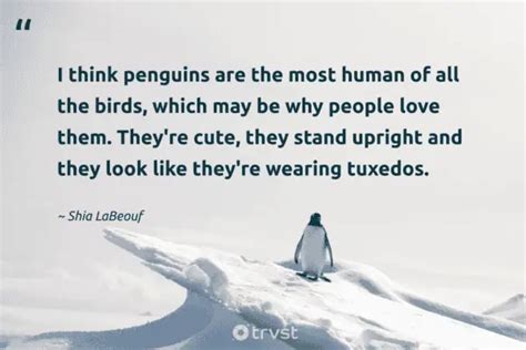 27 Penguin Quotes about the Monogamous Waddling Bird