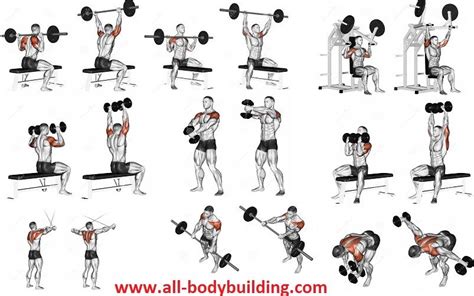 Shoulders Workout - Put Cannonballs on Your Sides With This Intense Routine! - all-bodybuildi ...