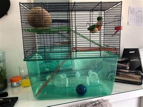 Hamster/Gerbil Cage and Accessories | in Havant, Hampshire | Gumtree