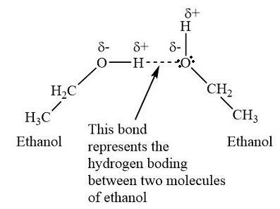 The strongest intermolecular interactions between ethyl alcohol (CH3CH2OH) molecules arise from ...