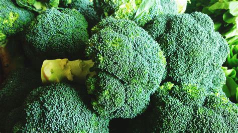 Broccoli Nutrition Facts and Health Benefits | Broccoli nutrition facts ...