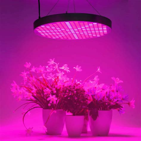 Top 10 Best LED Grow Lights For Indoor Plants in 2023 - The Best Product