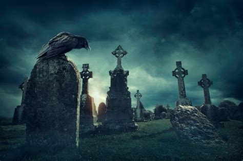 You can be paid £200 to spend Halloween night in a graveyard | Metro News