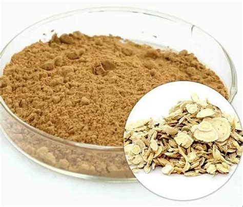 Astragalus Extract at Rs 800/kilogram | Natural Herbal Extracts in ...