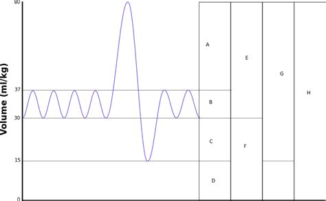 Lung Volume Graph Diagram | Quizlet