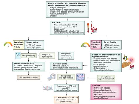 EASL Clinical Practice Guidelines on haemochromatosis - Journal of ...