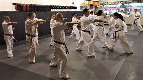 Kyokushin Karate and Shodō - The Martial Way