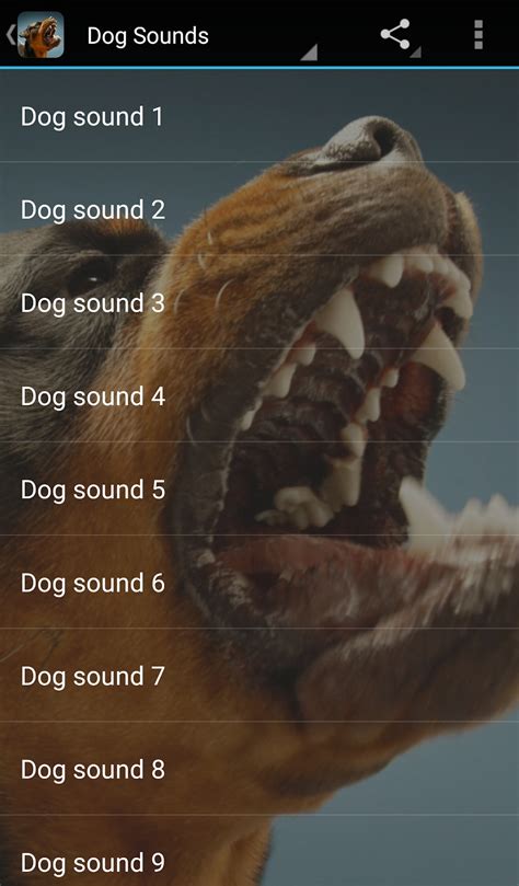 Dog Sounds APK for Android - Download