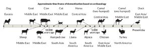 Timeline of Animal Domestication | CollectEdNY