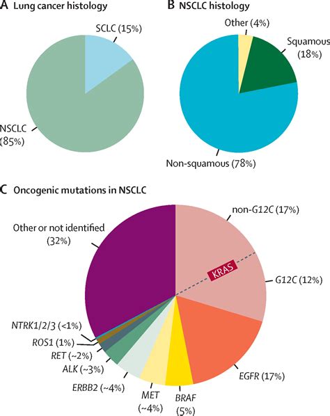 Lung cancer - The Lancet