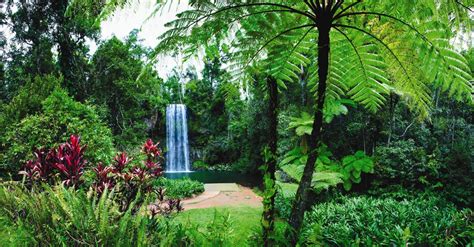 Waterfalls and Waterways Trail, Atherton Tablelands