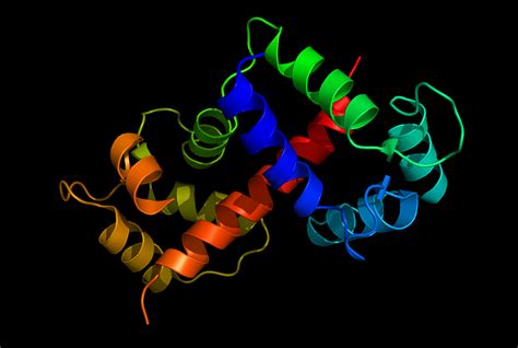 Visualization of Protein Structures | Dr. Yijia Xiong’s Portfolios