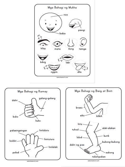 Mga Bahagi Ng Ating Katawan Worksheet | Images and Photos finder