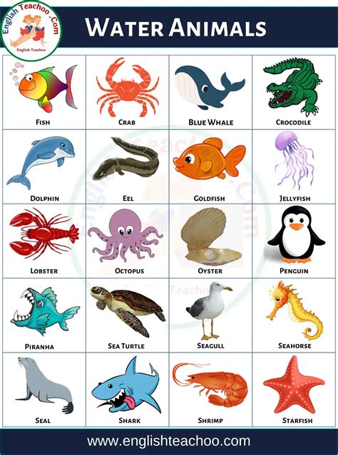 50 Water Animals Name In English With Pictures - EnglishTeachoo