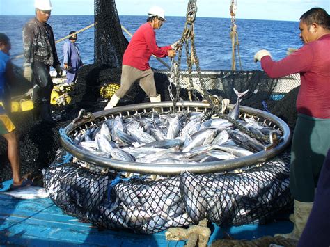 PNA credits fishery management for healthy tuna stocks – FFA's TunaPacific: Fisheries news and views