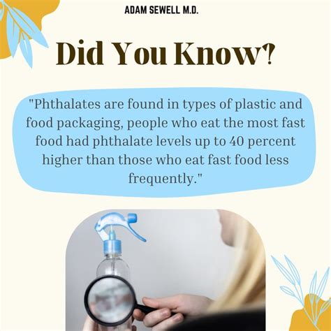 "Phthalates are found in types of plastic and food packaging, people ...