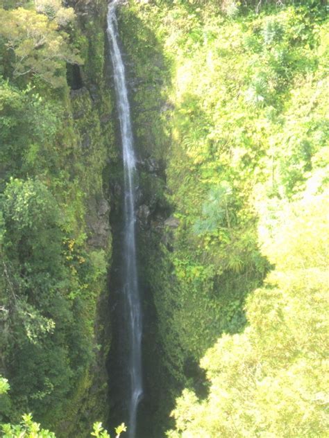 one of a million waterfalls on the Road to Hana, Maui | Road to hana ...