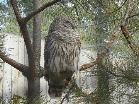 Kamloops Wildlife Park (British Columbia): Top Tips Before You Go - TripAdvisor