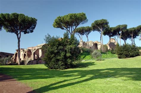 Palatine Hill ruins stock photo. Image of historic, palatine - 10502296