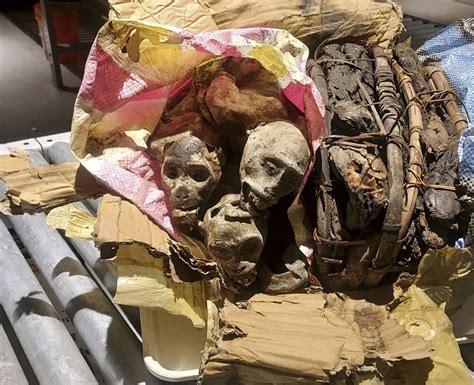 Passenger caught in Boston airport with mummified monkeys: Report - silive.com