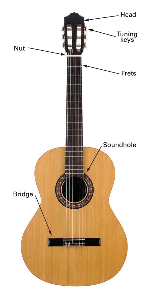 Acoustic Guitar Types - Learn To Play Music Blog