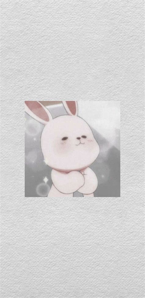 Rabbit Wallpaper, Drawing Wallpaper, Sanrio Wallpaper, Cute Anime Wallpaper, Cartoon Wallpaper ...