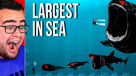 Is BLOOP The BIGGEST Sea Monster EVER?! (Size Comparison) - YouTube