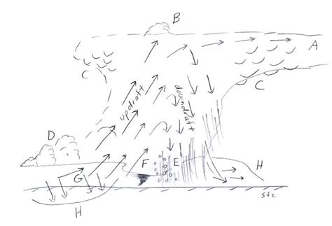 Supercell Thunderstorm Diagram