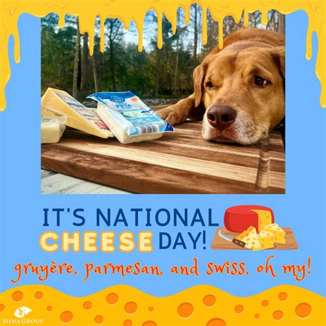 National Cheese Lover's Day: January 20th | Siena Group