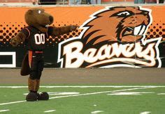 Benny the Beaver Osu Beavers, Mascot, Oregon, Athlete, Teams, Sports ...