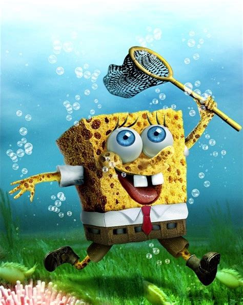 Real Sponge Bob | Spongebob wallpaper, Realistic cartoons, Spongebob