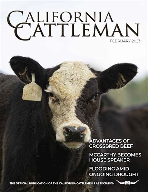 The Latest California Cattleman Magazine – California Cattlemen's ...