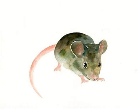 MOUSE 7x5inch Print-Art Print-animal Watercolor Print-Giclee