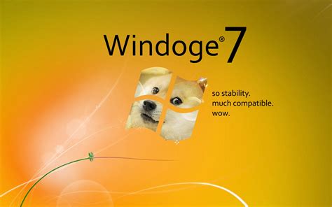 Wallpaper : 1920x1200 px, doge, memes, Microsoft Windows, Shiba Inu, Windows 7 1920x1200 ...