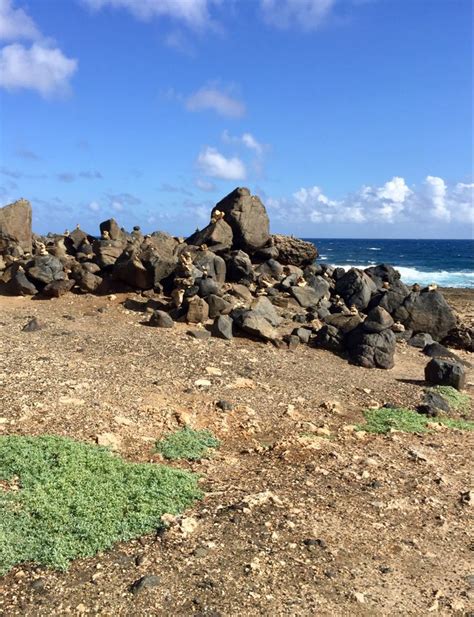 Arikok National Park, Aruba | National parks, Aruba, Outdoor