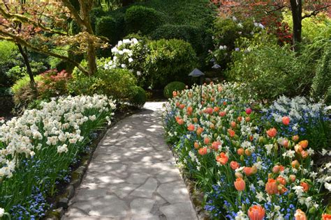 What's in Bloom Now? Garden Updates May 12-18 - The Butchart Gardens