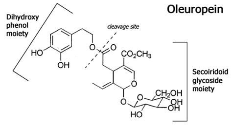 15 Structure of oleuropein. Adapted from (Konno et al., 1999 ...