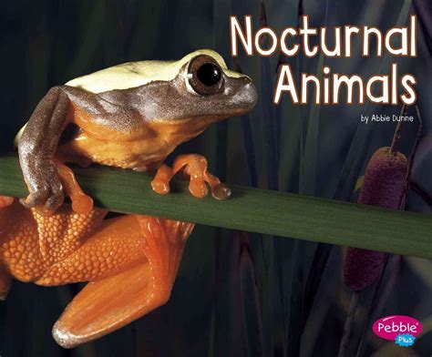 Nocturnal Animals by Abbie Dunne (English) Library Binding Book Free Shipping! 9781515709466 | eBay