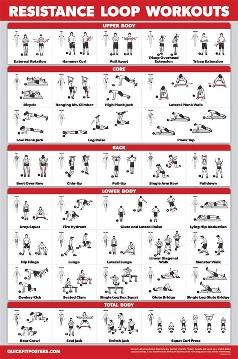 Buy QuickFit Resistance Loop Bands Workout - LAMINATED - Exercise Chart ...