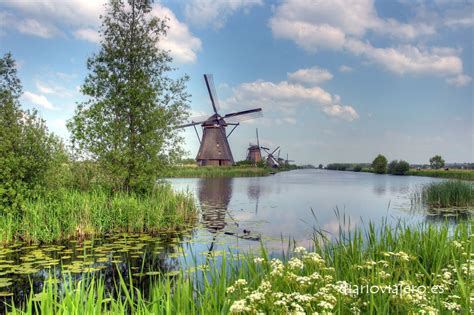 Los molinos de Kinderdijk. Como llegar a los molinos de Kinderdijk desde Amsterdam ...