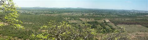 Appur Nithya Kalyana Perumal Temple (Kanchipuram - Tamil Nadu) | My Travelogue - Indian Travel ...