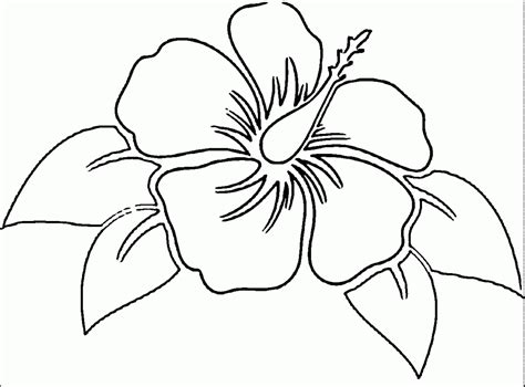 26 best ideas for coloring | Hibiscus Coloring Sheets