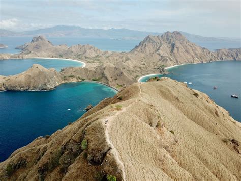 Komodo Island Pictures | Download Free Images on Unsplash