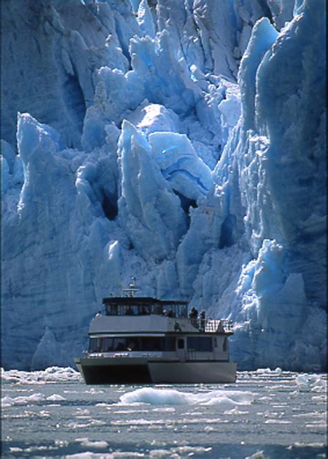 Tracy Arm Fjord & Glacier Explorer - Allen Marine Tours