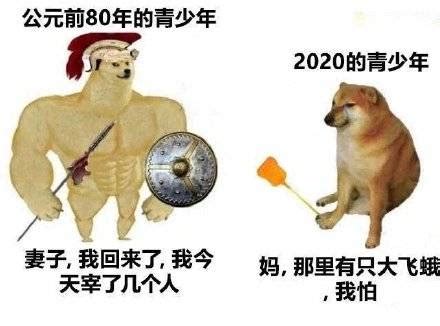 肌肉 doge 与小废狗表情包