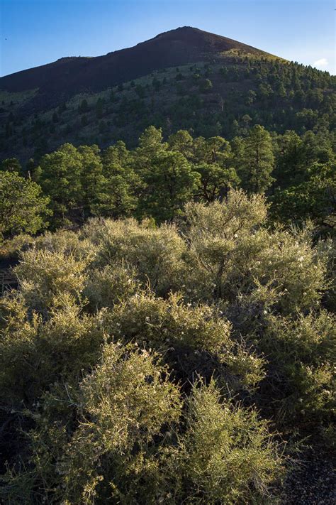 Sunset Crater Volcano National Monument - US Route 89